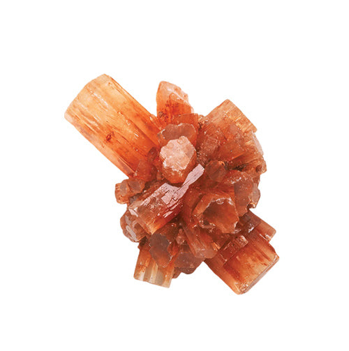 Aragonite-crystals wholesale