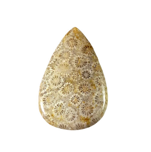 Coral Jade-crystals wholesale