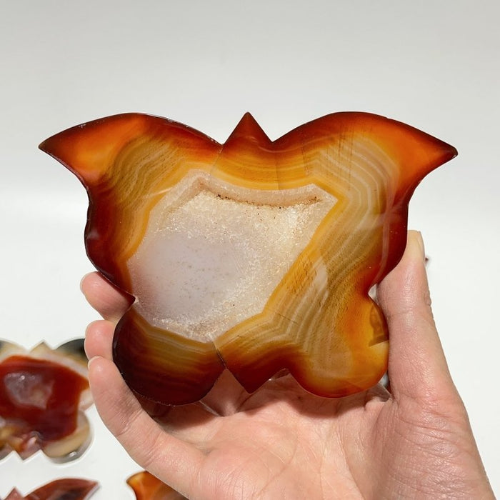 11 Pieces Carnelian Geode Druzy Butterfly Carving