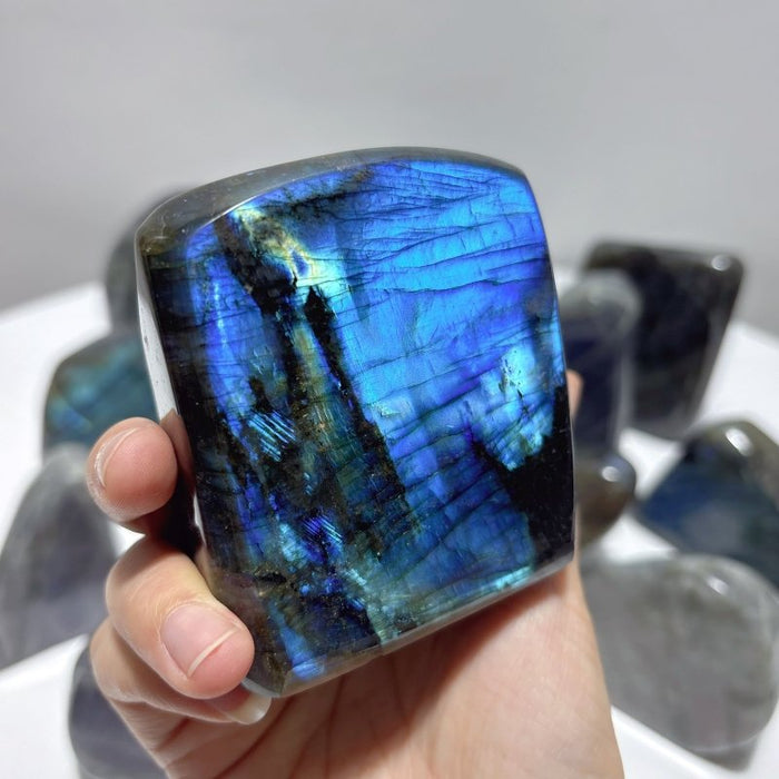 13 Pieces High Quality Labradorite Free Form