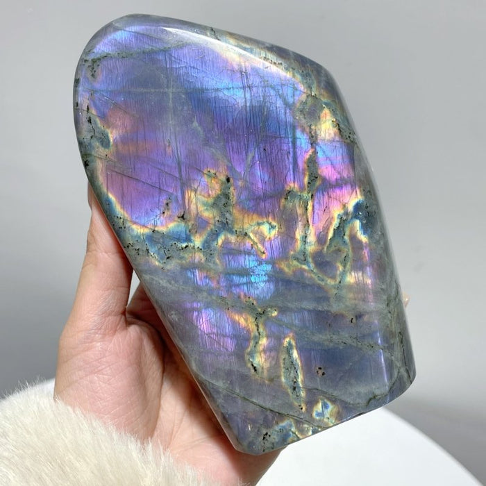 13 Pieces Purple Labradorite High Quality Polished Large Free Form