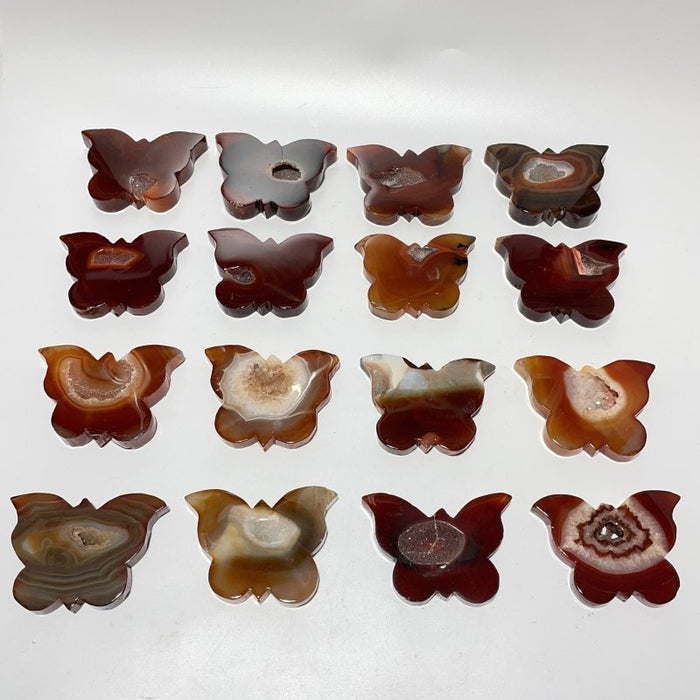 16 Pieces Carnelian Geode Druzy Butterfly Carving