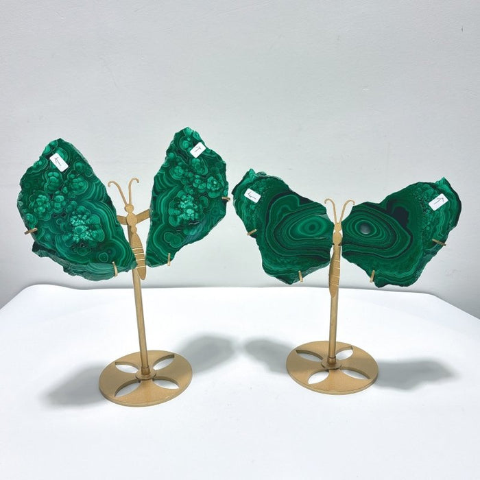 2 Pairs Polished Malachite Raw Slab Butterfly Wing With Stand (#3)