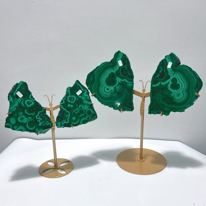 2 Pairs Polished Malachite Raw Slab Butterfly Wing With Stand (#5)