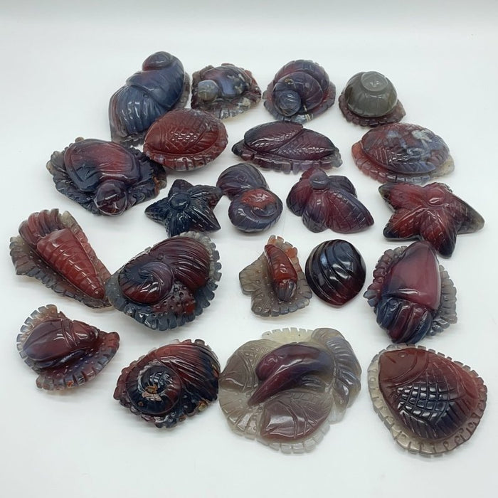 21 Pieces African Red Agate Sea Animals Carving