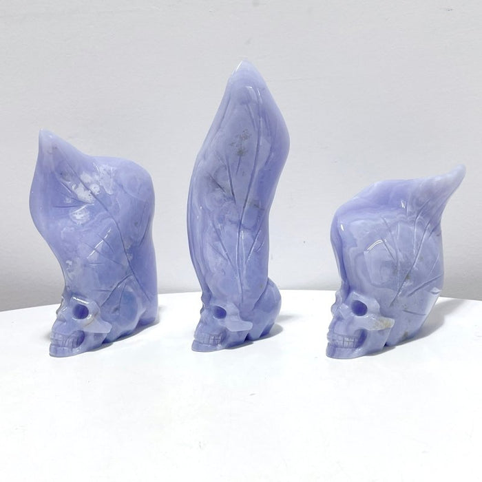 3 Pieces Blue Lace Agate Skull Carving