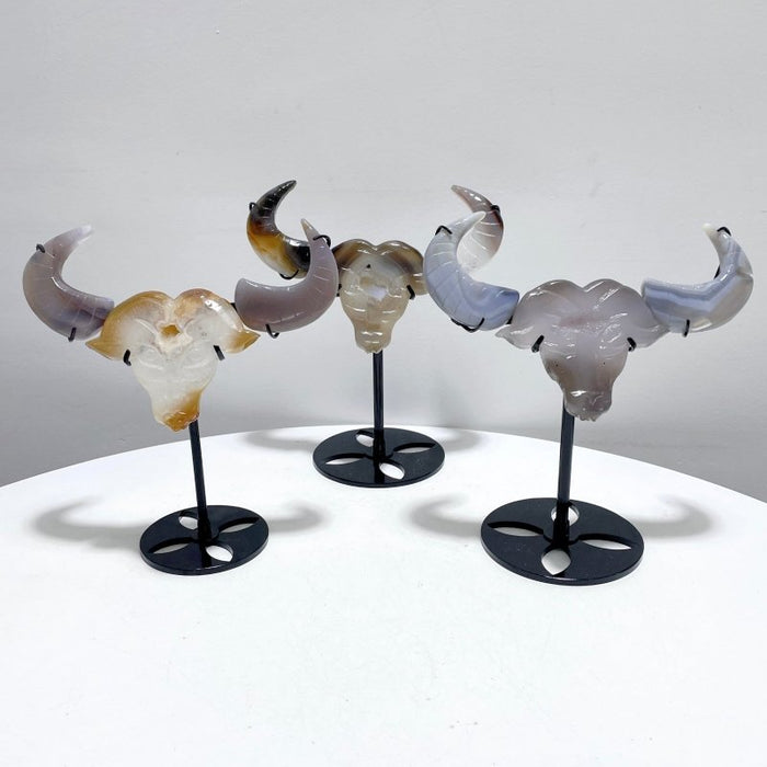 3 Pieces Unique Geode Druzy Agate Ox Head Crystal Carving With Stand