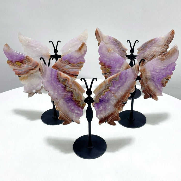 5 Pairs Amethyst Mixed Stripe Agate Butterfly Wing Carving With Stand