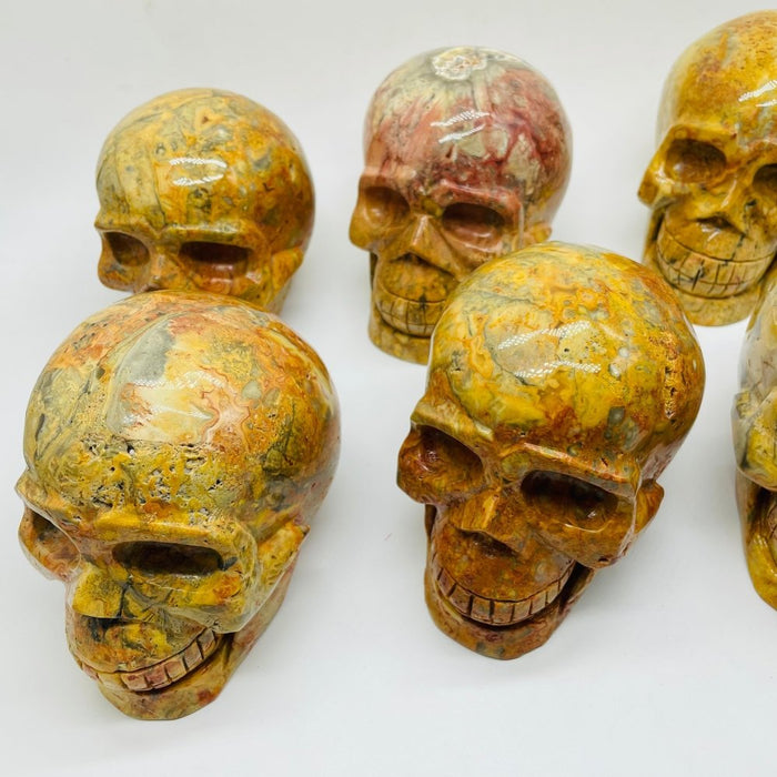 6 Pieces Crazy Agate Large Skull Carving