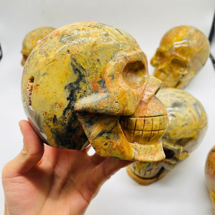 6 Pieces Crazy Agate Large Skull Carving