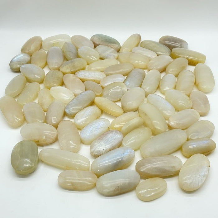 67 Pieces High Quality Small Blue Moonstone Palm