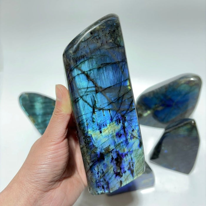 7 Pieces Large High Quality Labradorite Free Form