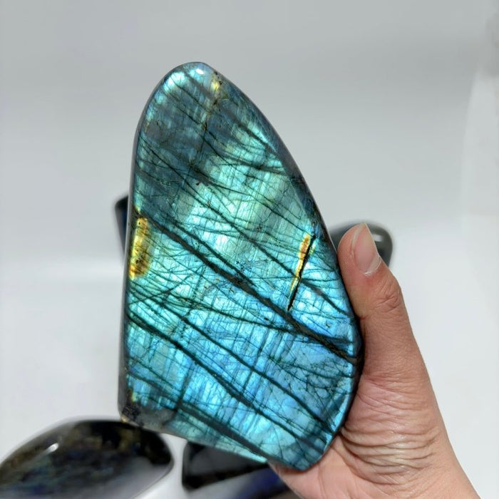 7 Pieces Large High Quality Labradorite Free Form
