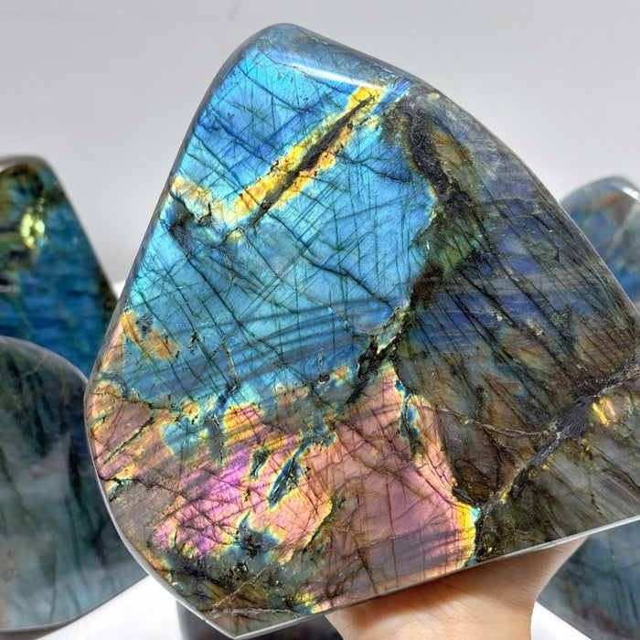 7 Pieces Large Labradorite Free Form High Quality