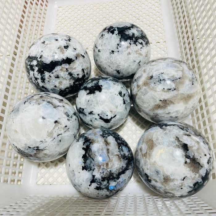 7 Pieces Large Moonstone Sphere Ball