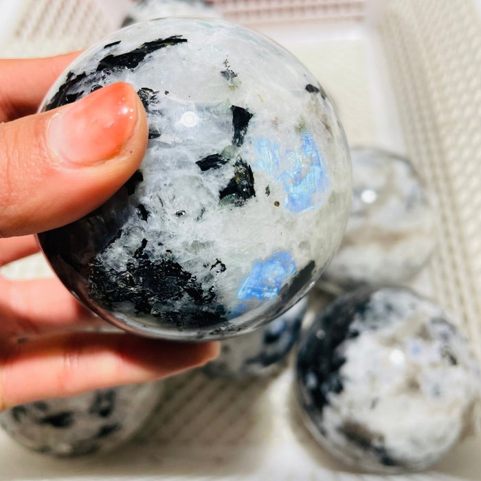 7 Pieces Large Moonstone Sphere Ball