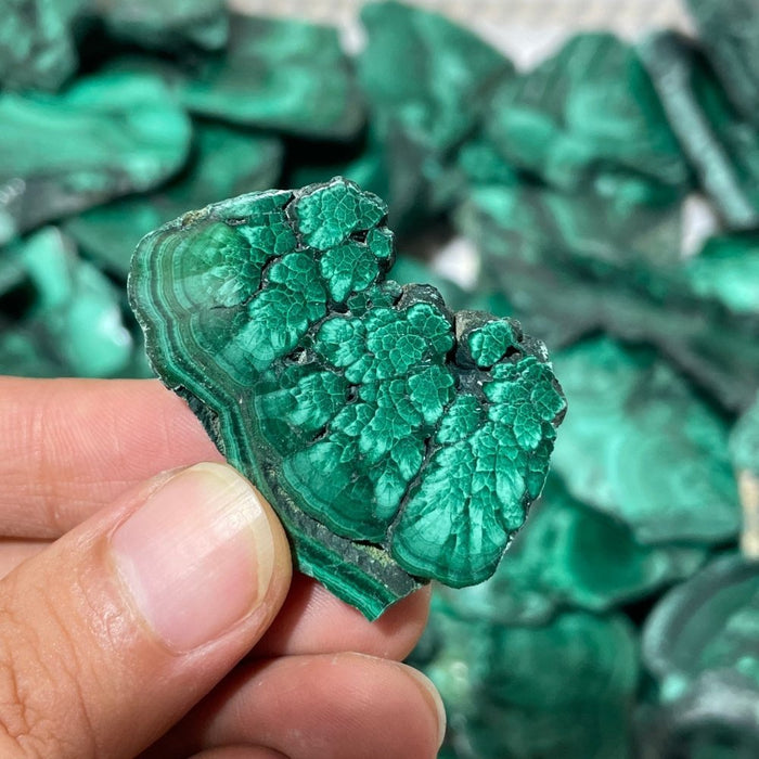 85 Pieces Small Polished Malachite Slab