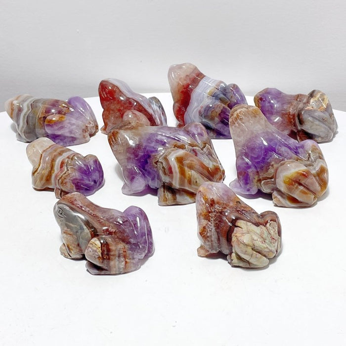 9 Pieces Amethyst Mixed Agate Frog Carving