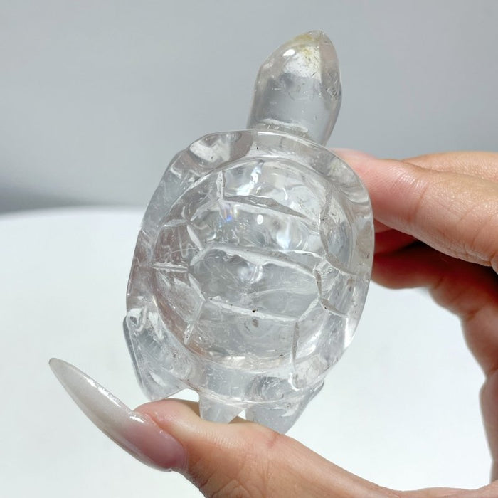 9 Pieces Clear Quartz Turtle Carving