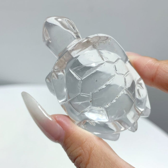9 Pieces Clear Quartz Turtle Carving