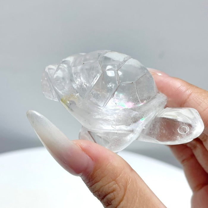 9 Pieces Clear Quartz Turtle Carving