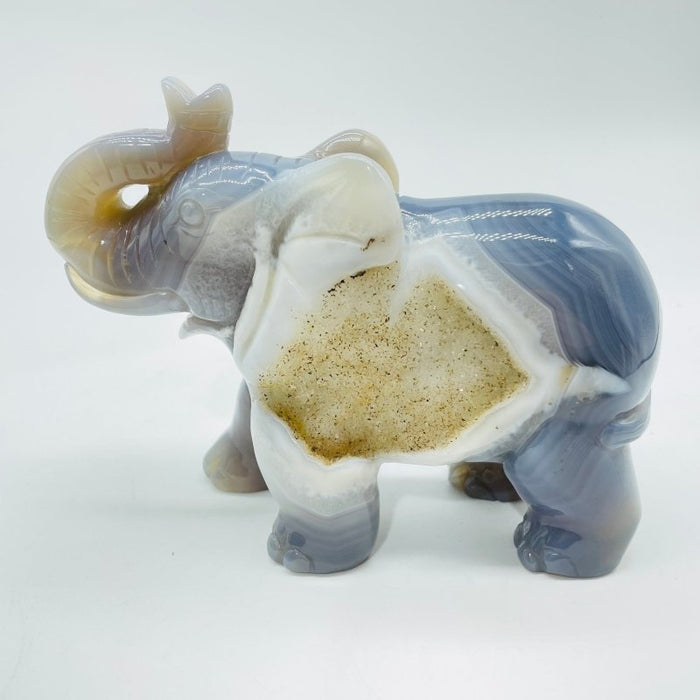 Beautiful Geode Agate Druzy Elephant Animal Carving