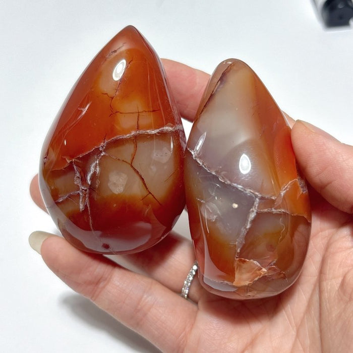 Beautiful Geode Druzy Carnelian Wholesale