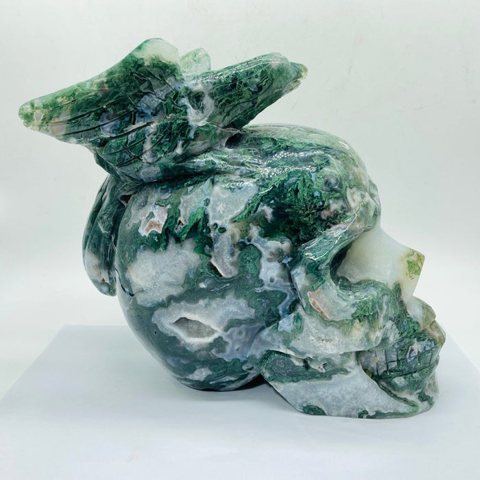 Beautiful Large Moss Agate Bird Skull Carving