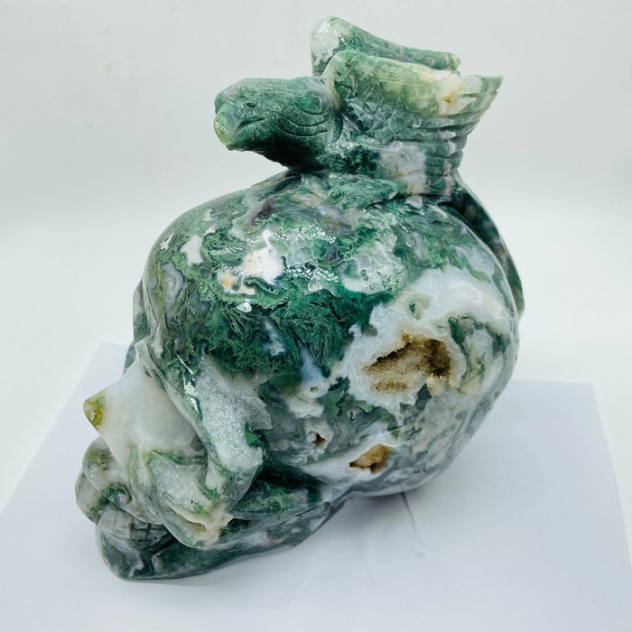 Beautiful Large Moss Agate Bird Skull Carving