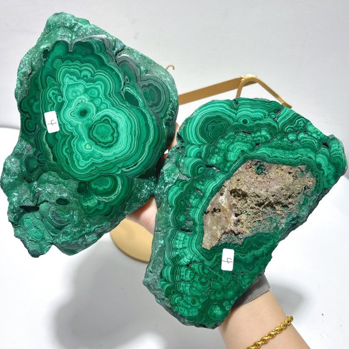 Beautiful Large Polished Malachite Raw Slab Butterfly Wing With Stand (#6)