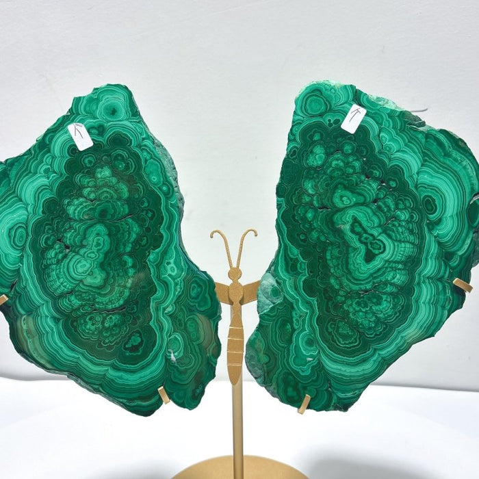 Beautiful Large Polished Malachite Raw Slab Butterfly Wing With Stand (#6)