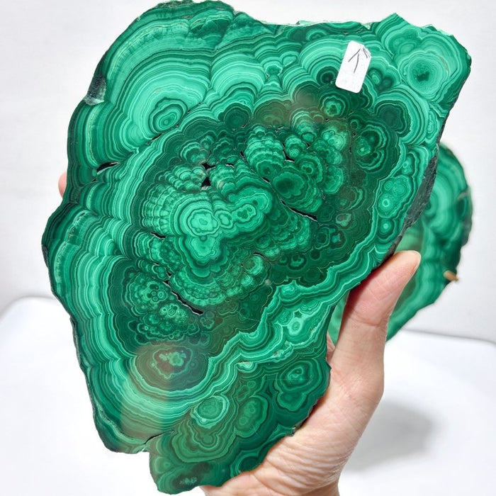 Beautiful Large Polished Malachite Raw Slab Butterfly Wing With Stand (#6)