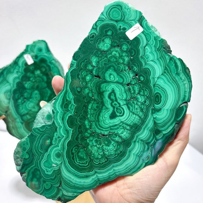 Beautiful Large Polished Malachite Raw Slab Butterfly Wing With Stand (#6)