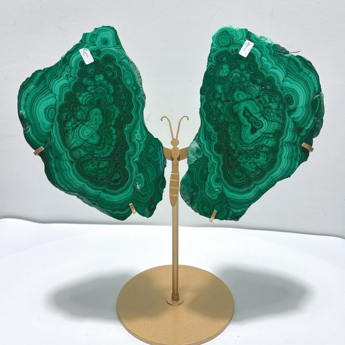 Beautiful Large Polished Malachite Raw Slab Butterfly Wing With Stand (#6)