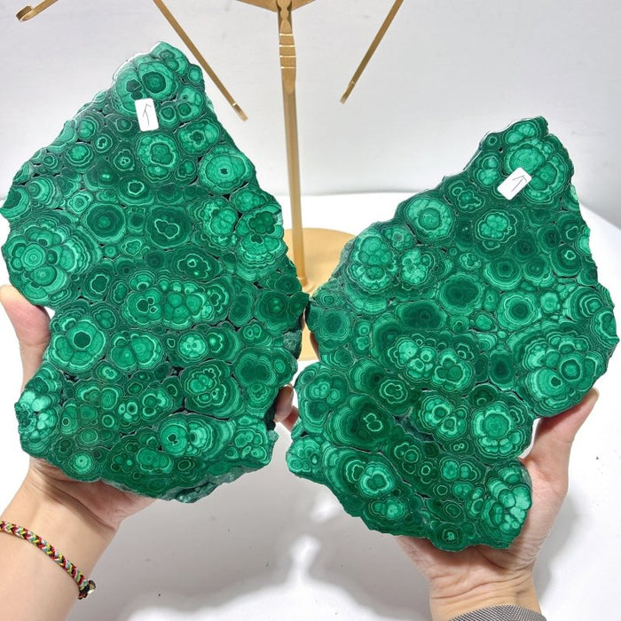 Beautiful Large Polished Malachite Raw Slab Butterfly Wing With Stand (#7)