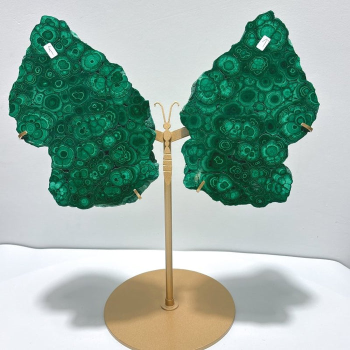 Beautiful Large Polished Malachite Raw Slab Butterfly Wing With Stand (#7)