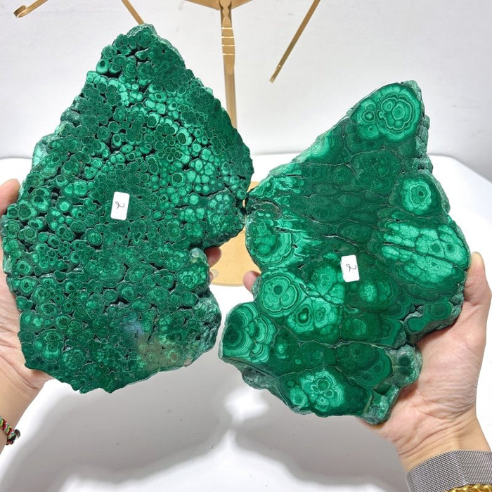 Beautiful Large Polished Malachite Raw Slab Butterfly Wing With Stand (#7)