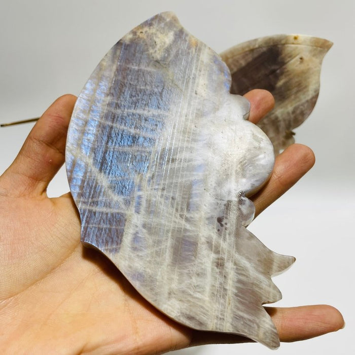 Blue Moonstone Mixed Sunstone Butterfly Carving With Stand