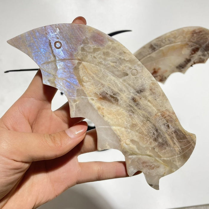 Blue Moonstone Mixed Sunstone Dragon Carving With Stand