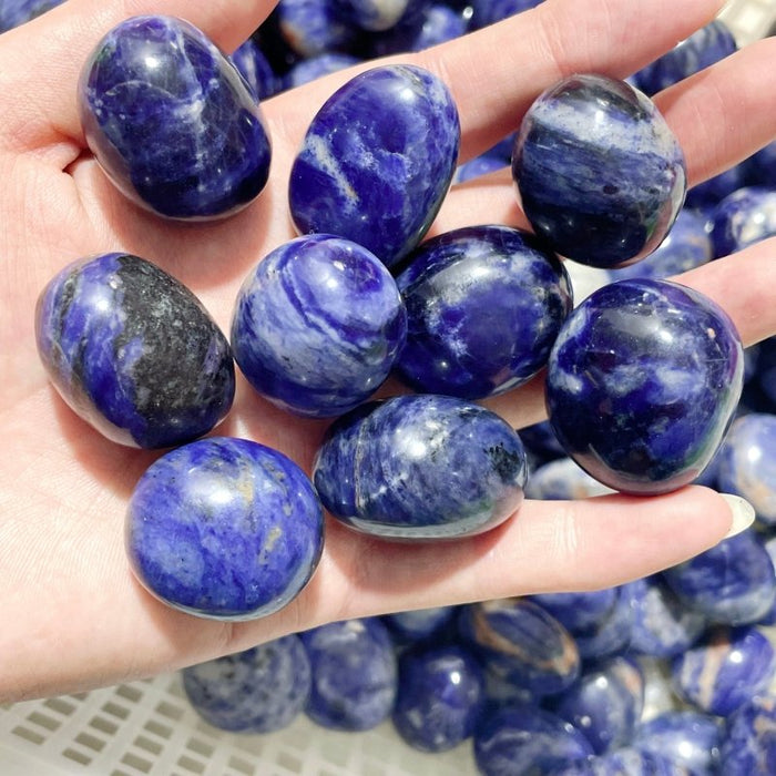 Blue Sodalite Tumbled Wholesale