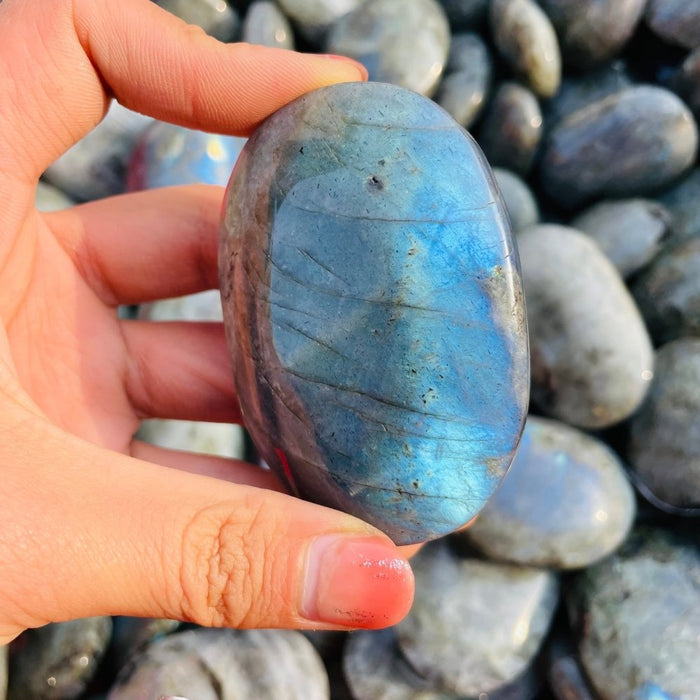 Blue&Yellow Labradorite Palm Wholesale
