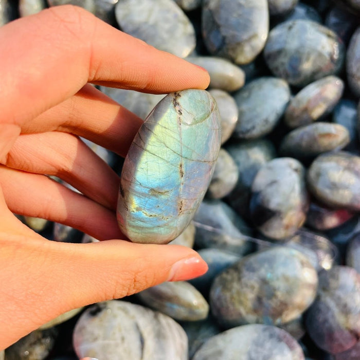 Blue&Yellow Labradorite Palm Wholesale