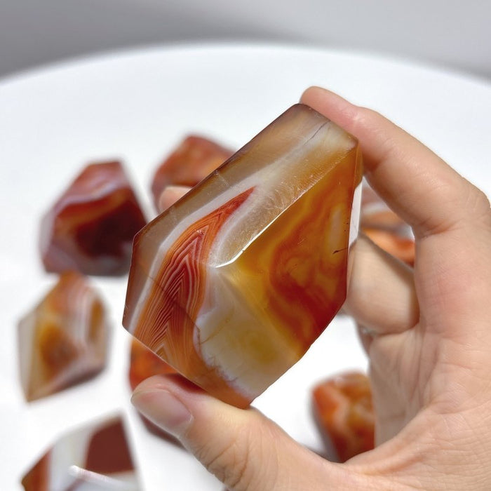 Carnelian Free Form Wholesale