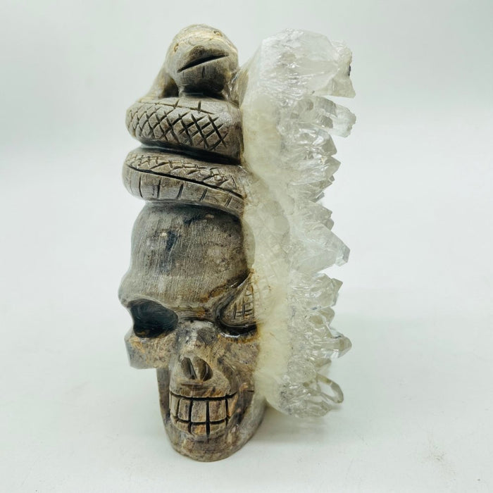 Clear Quartz Cluster Snake Skull Carving