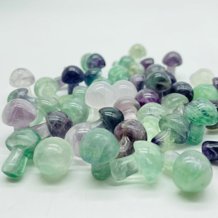 Colorful Fluorite Mushroom Wholesale