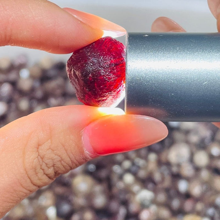 Garnet Rough Mineral Specimen