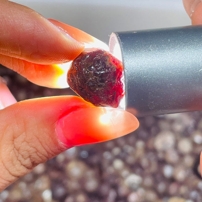 Garnet Rough Mineral Specimen