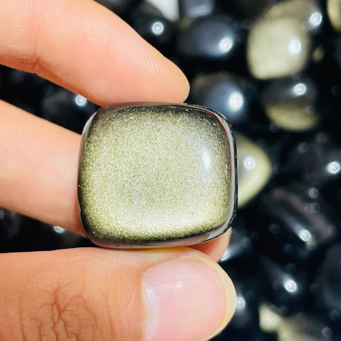 Gold Sheen Obsidian Tumbled Wholesale