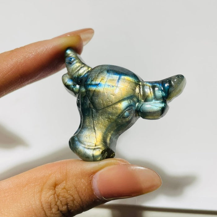 Labradorite Bull Head Carving Wholesale