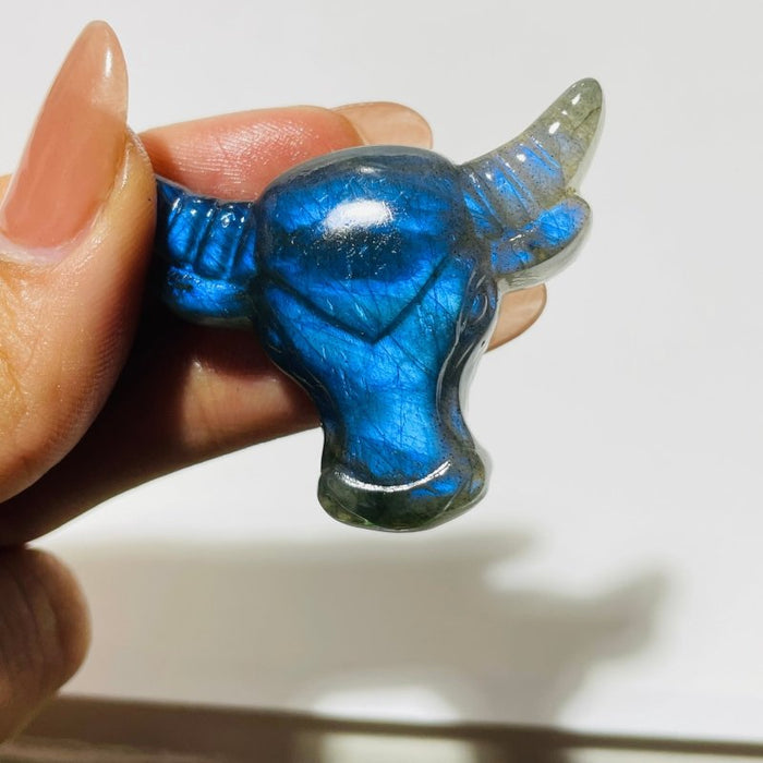 Labradorite Bull Head Carving Wholesale